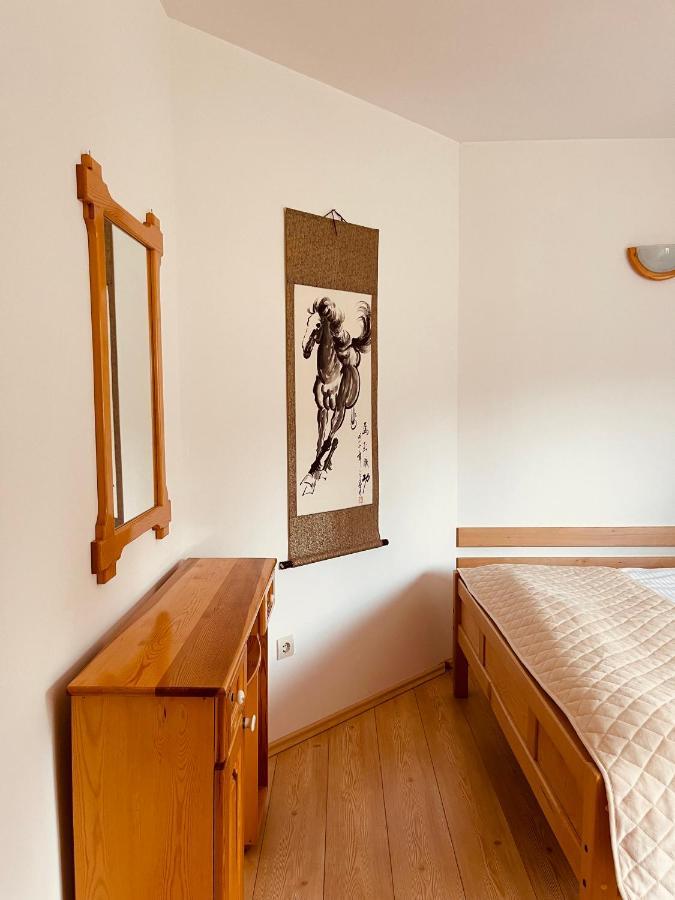 Apartament Hill Durmitor Žabljak Zewnętrze zdjęcie