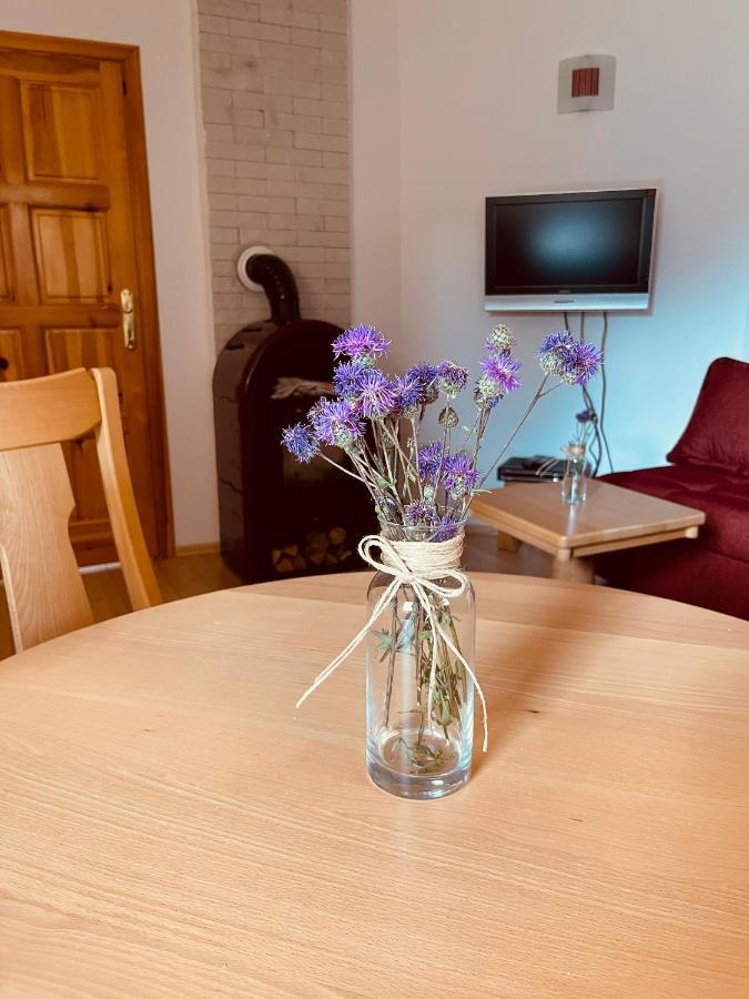 Apartament Hill Durmitor Žabljak Zewnętrze zdjęcie