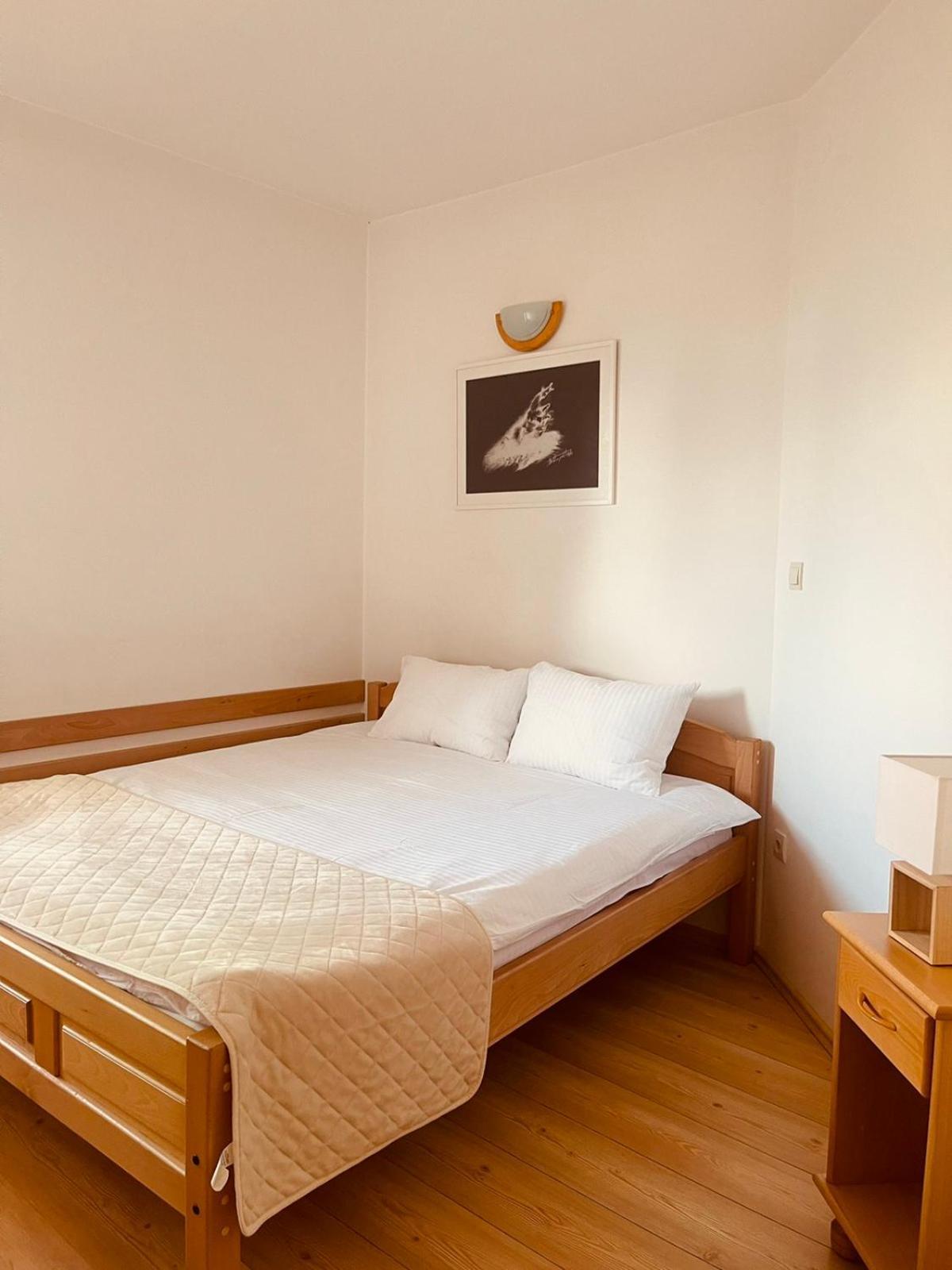 Apartament Hill Durmitor Žabljak Zewnętrze zdjęcie