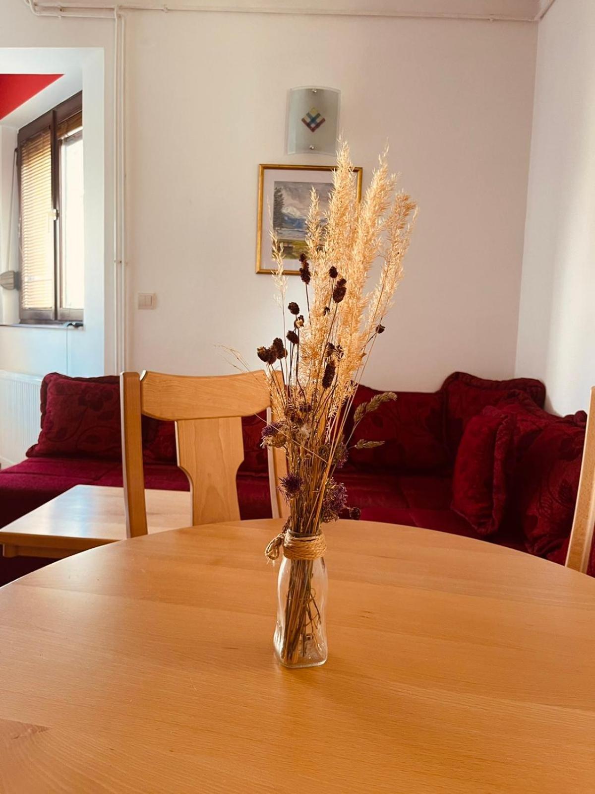 Apartament Hill Durmitor Žabljak Zewnętrze zdjęcie